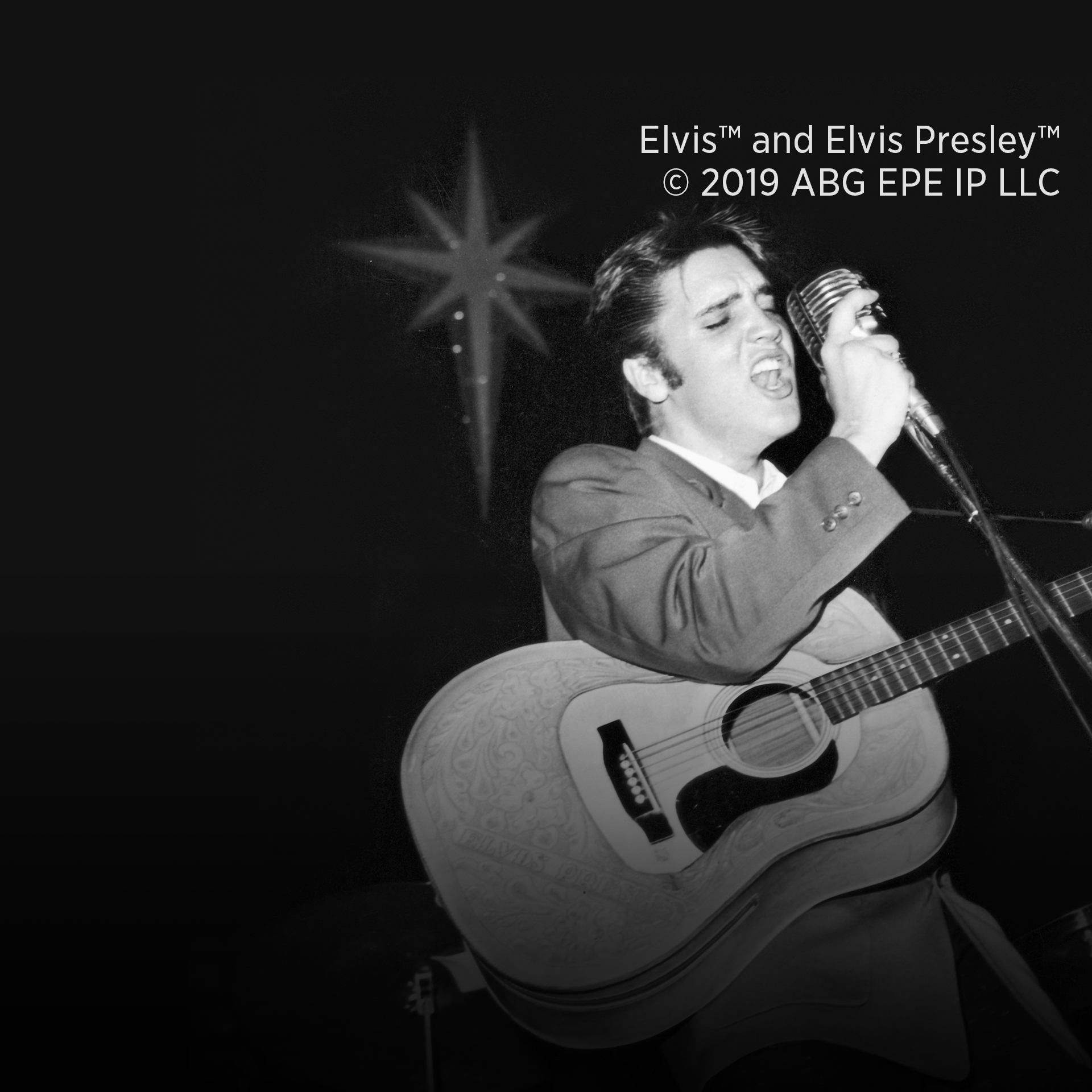 Elvis Live In Concert